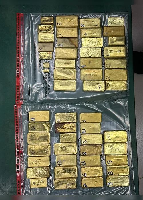 
          Imagem ilustrativa da imagem Vídeo: Polícia Federal apreende 51kg de ouro em avião privado em Boa Vista
          