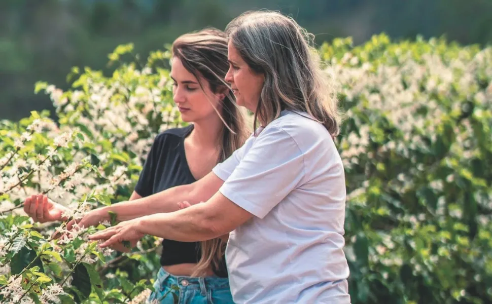 Chiara Café: grãos cultivados em Brejetuba têm fama internacional