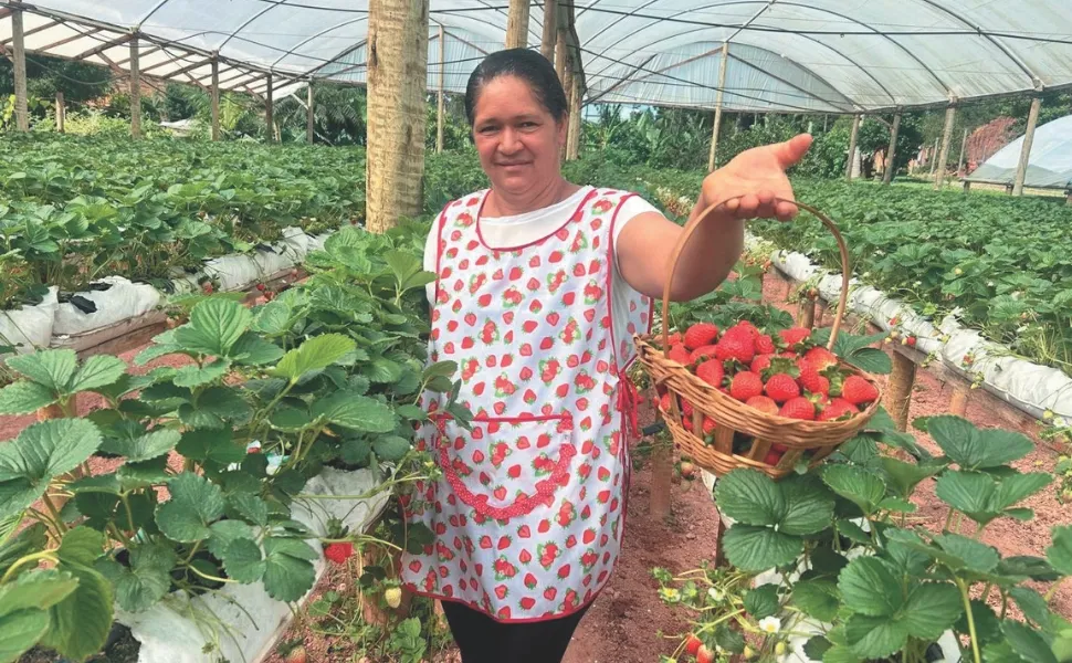 Eliana Moreira criou a Horta da Eliana, onde os turistas podem colher morango e saborear um café farto, com produtos caseiros