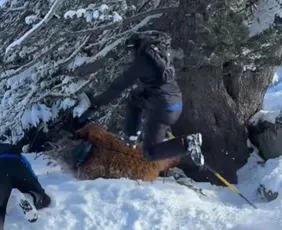 Imagem ilustrativa da imagem Brasileiro é espancado por grupo de ao menos cinco pessoas em estação de esqui na França