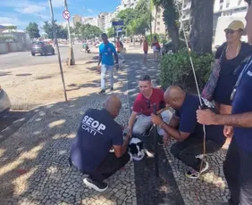 Imagem ilustrativa da imagem Cadela é resgatada após passar três dias presa em carro em Copacabana