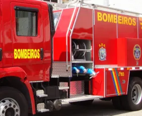 Imagem ilustrativa da imagem Casal e três cães são encontrados mortos em incêndio no Bairro de Santana