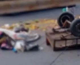 Imagem ilustrativa da imagem Cavalo morre após colisão com ônibus em Boa Viagem