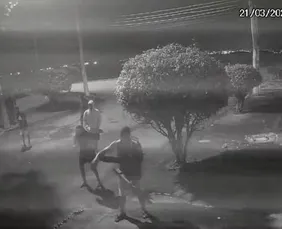 Imagem ilustrativa da imagem Grupo que agrediu capivara no Rio é denunciado por maus-tratos com emprego de crueldade