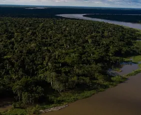 Imagem ilustrativa da imagem Indígena é deixado à deriva em rio após ser roubado e amarrado no Vale do Javari, relata entidade