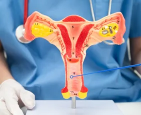 Imagem ilustrativa da imagem Março Lilás: prevenção é a chave contra o câncer de colo do útero