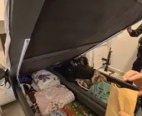 Imagem ilustrativa da imagem Operação Colmeia: polícias Civil e Militar miram tráfico de drogas no Rio; 14 são presos