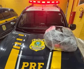 Imagem ilustrativa da imagem PRF apreende 5,4 kg de maconha escondidos sob estepe em Petrolina