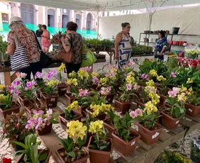 Imagem ilustrativa da imagem Recife recebe nova edição do Festival Flores de Holambra para o Dia das Mães