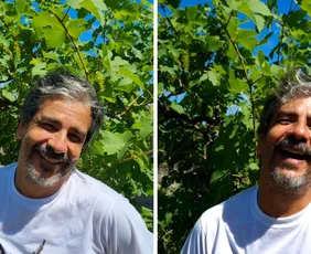 Imagem ilustrativa da imagem Vinho Bastardo de Itamaracá: a rara promessa já é aguardada por grandes críticos