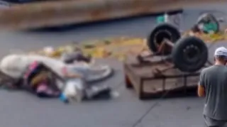 Imagem ilustrativa da imagem Cavalo morre após colisão com ônibus em Boa Viagem