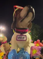 Imagem ilustrativa da imagem Com enredo sobre Rita Lee, Mocidade homenageia cão Orelha em alegoria