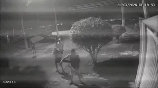 Imagem ilustrativa da imagem Grupo que agrediu capivara no Rio é denunciado por maus-tratos com emprego de crueldade