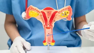 Imagem ilustrativa da imagem Março Lilás: prevenção é a chave contra o câncer de colo do útero