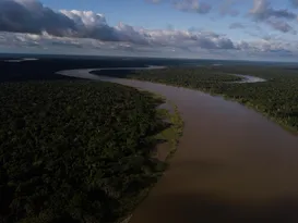 Imagem ilustrativa da imagem Naufrágio no Amazonas mata uma criança de três anos e uma mulher e deixa sete pessoas desaparecidas
