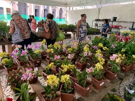 Imagem ilustrativa da imagem Recife recebe nova edição do Festival Flores de Holambra para o Dia das Mães