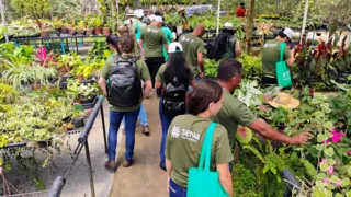 Imagem ilustrativa da imagem Senar-PE abre seleção para vagas em cursos técnicos gratuitos semipresenciais