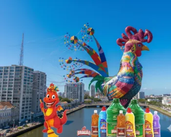 Imagem ilustrativa da imagem No passo do Galo da Madrugada, brilhe com a energia dos Produtos Dragão