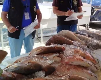 Imagem ilustrativa da imagem Variação nos preços de pescados para a Páscoa chega a 217% em Pernambuco