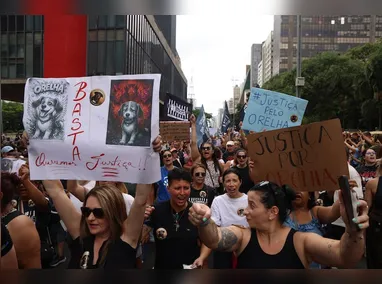 Cães são encontrados mortos no município de Vera Cruz, interior do Rio Grande do Sul