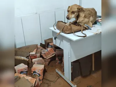 Equipes da Defesa Civil, Corpo de Bombeiros e voluntários atuam no atendimento às ocorrências e na organização de abrigos provisórios