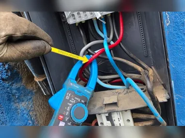 Caranguejos capturados pelo suspeito