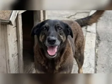 Antonio Carlos Camilo Antunes pagou despesas de viagem de Fábio Luís Lula da Silva