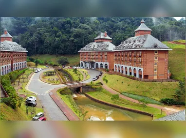 Peixe Mero entre corais