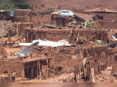 Cães são encontrados mortos no município de Vera Cruz, interior do Rio Grande do Sul