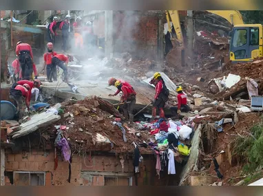 Pelo menos 5 árvores caíram em diferentes pontos da cidade