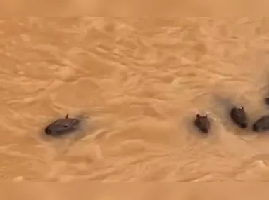 Cinco quilômetros de duplicação da rodovia BR-101, entre os quilômetros 242 e 247, no município da Serra, foram entregues ontem durante cerimônia