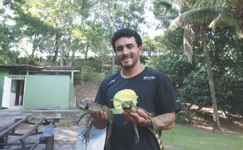 
          Imagem ilustrativa da imagem A cada 3 dias, um jacaré é resgatado na Grande Vitória
          
