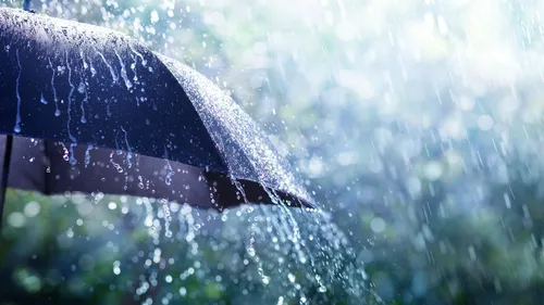 
          Imagem ilustrativa da imagem APAC renova alerta para chuvas moderadas a fortes nesta sexta-feira de Carnaval
          