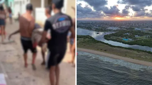 
          Imagem ilustrativa da imagem Adolescente de 13 anos morre após mordida de tubarão em Olinda
          