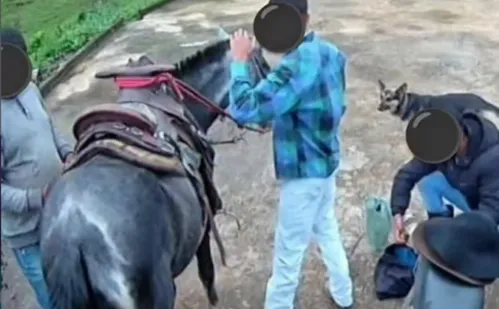 
          Imagem ilustrativa da imagem Adolescente de 16 anos é suspeito de matar égua a facadas no ES
          