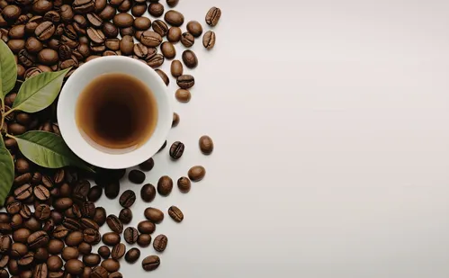 
          Imagem ilustrativa da imagem Agro não é jogo
          