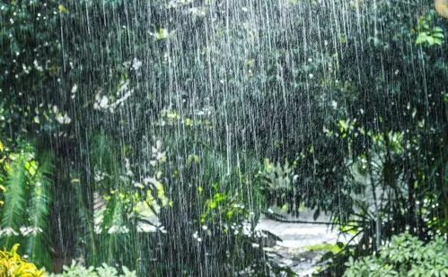 
          Imagem ilustrativa da imagem Alerta de chuvas intensas para 63 municípios do Espírito Santo
          