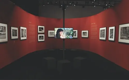 
          Imagem ilustrativa da imagem 'Amazônia', mostra de Sebastião Salgado, ficará em exposição por três meses no ES
          