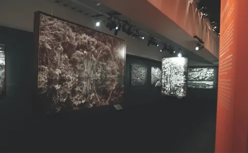 
          Imagem ilustrativa da imagem 'Amazônia', mostra de Sebastião Salgado, ficará em exposição por três meses no ES
          