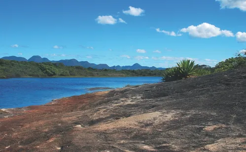 
          Imagem ilustrativa da imagem Ampliação do Parque Paulo César Vinha pode criar corredor ecológico
          