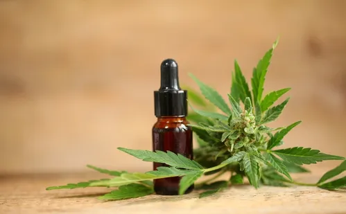 
          Imagem ilustrativa da imagem Anvisa publica regras para cultivo de Cannabis medicinal, com início em agosto
          