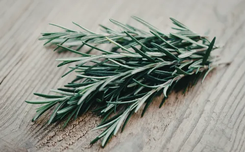 
          Imagem ilustrativa da imagem Anvisa suspende lote de alecrim com insetos vivos e pelo de animais
          