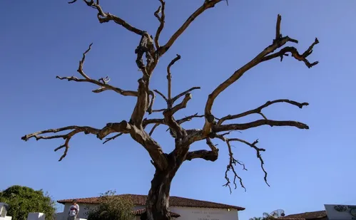 
          Imagem ilustrativa da imagem Araxá: o que conhecer na terra de Dona Beja em Minas Gerais
          