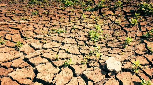 
          Imagem ilustrativa da imagem Avanço da "seca extrema" em Pernambuco atinge 72 municípios em 2026
          