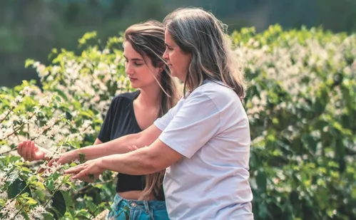 
          Imagem ilustrativa da imagem Brejetuba: turismo de experiência na capital do Café Arábica
          