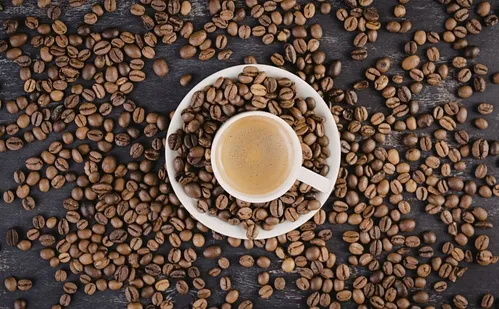 
          Imagem ilustrativa da imagem Café capixaba pode ser beneficiado com decisão da Justiça dos EUA
          