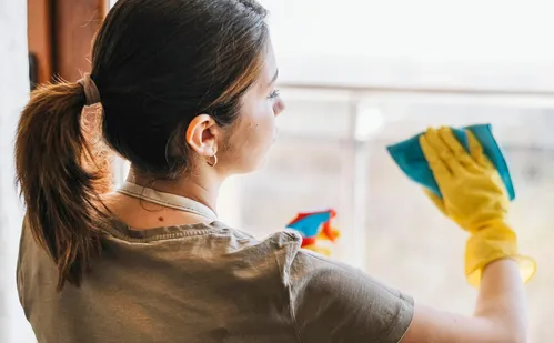 
          Imagem ilustrativa da imagem Campanha quer ampliar direitos e reduzir informalidade das domésticas
          