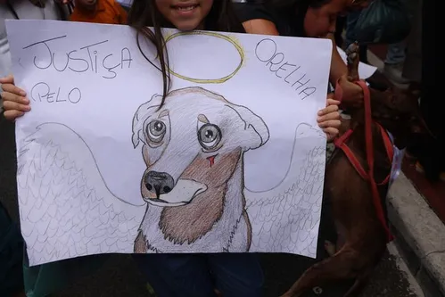 
          Imagem ilustrativa da imagem Cão Orelha: Polícia de SC conclui inquérito e pede internação de adolescente
          