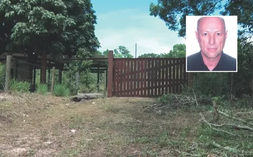 
          Imagem ilustrativa da imagem Cão farejador encontra pistas sobre a morte de Dante Michelini
          