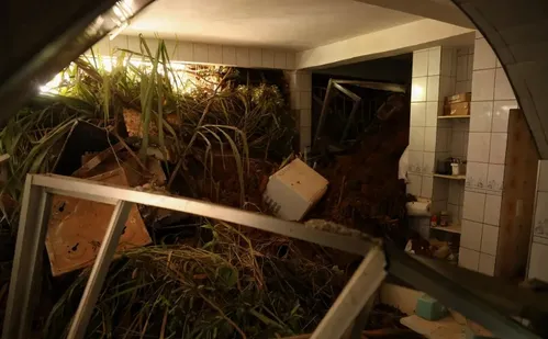 
          Imagem ilustrativa da imagem Chega a 64 o número de mortos após chuvas na zona da mata, em Minas Gerais
          